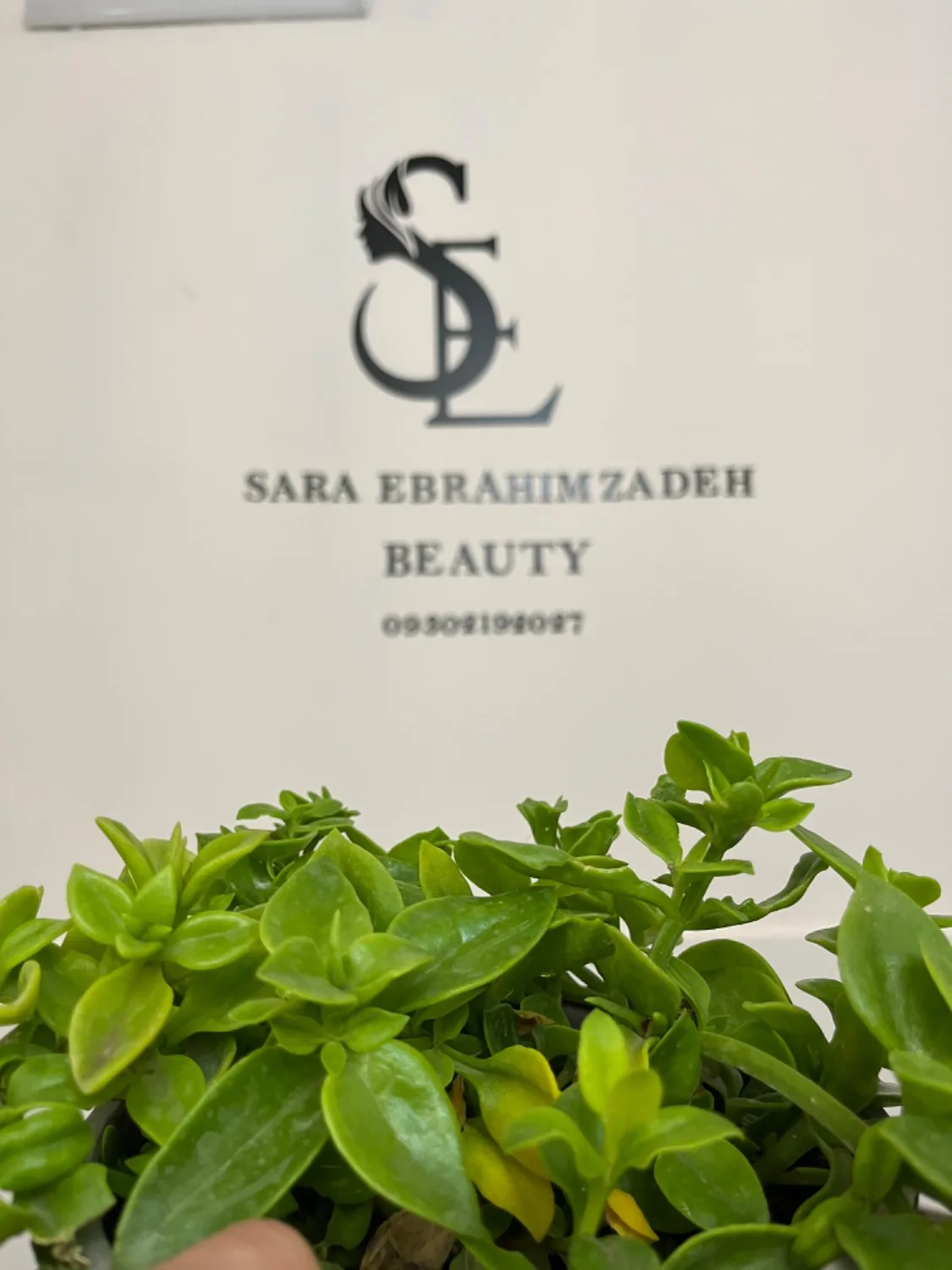 تصویر گالری سالن زیبایی سارای